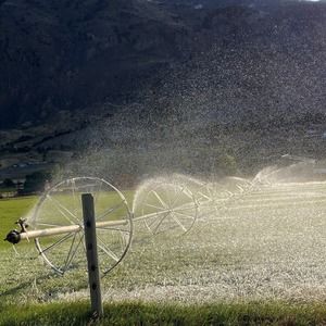 Meet your Posher, Martha